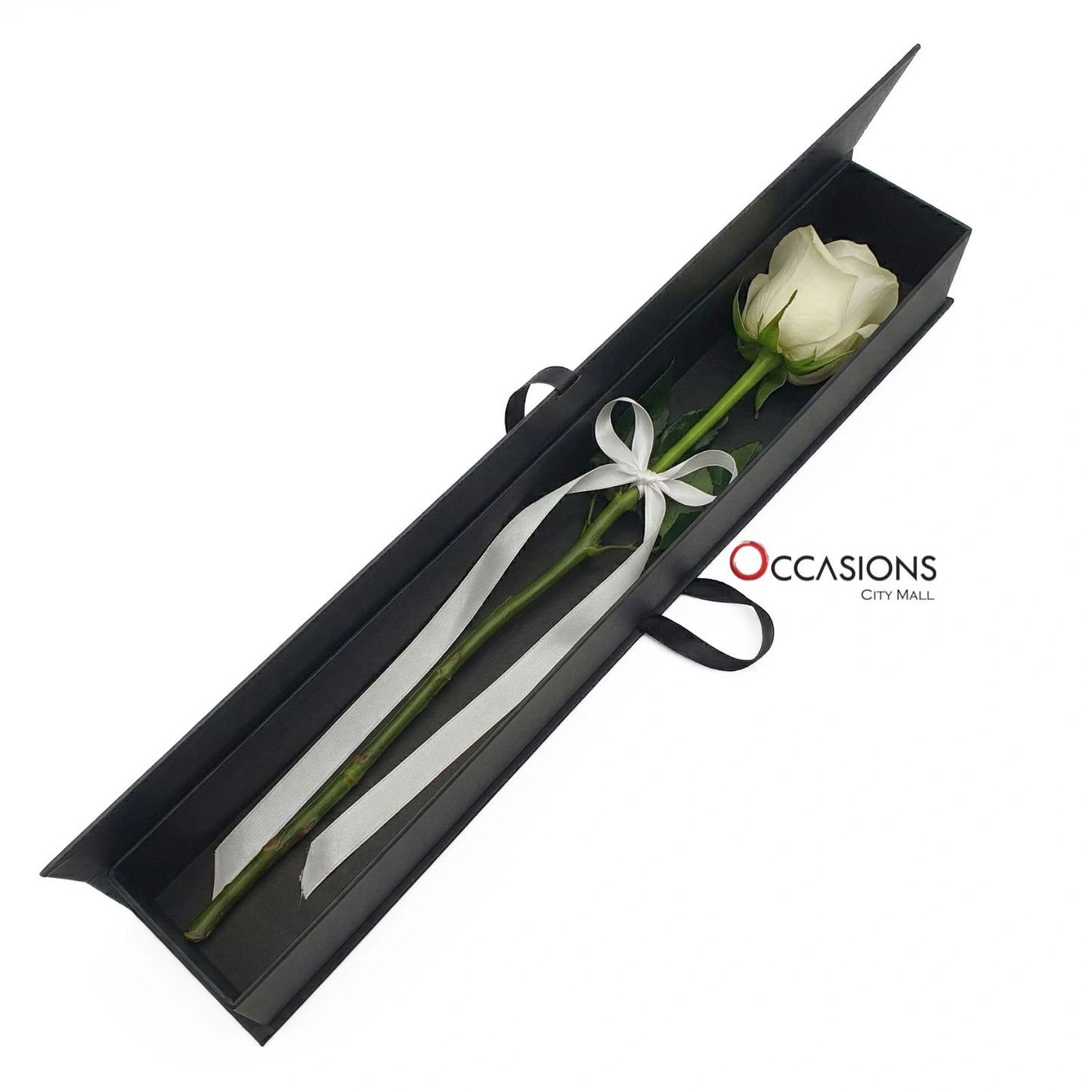 Classy White Rose