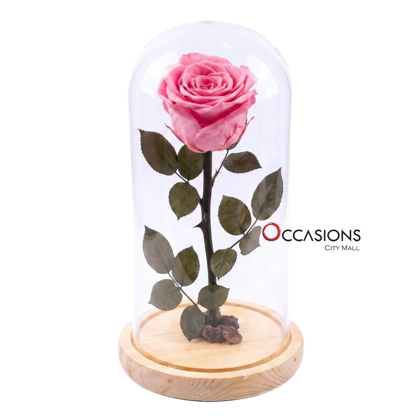 Pink Forever Rose - L