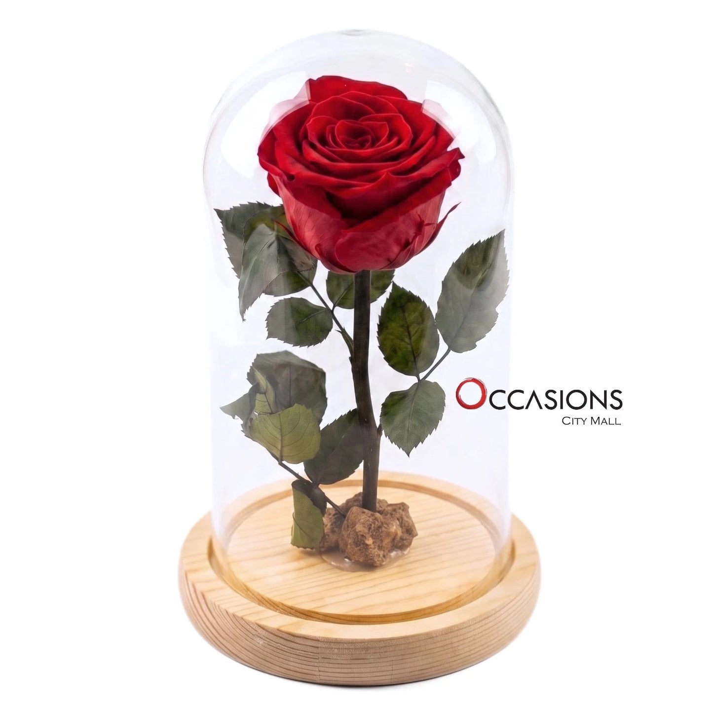 Red Forever Rose with Light- M