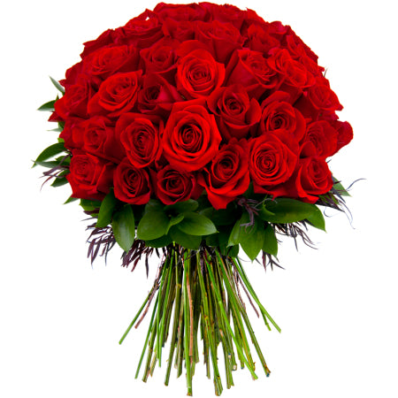 50 Beautiful Romantic Red Roses