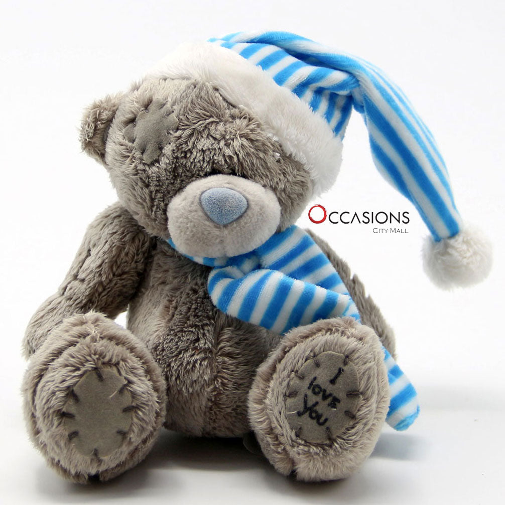 Winter Teddy - Blue