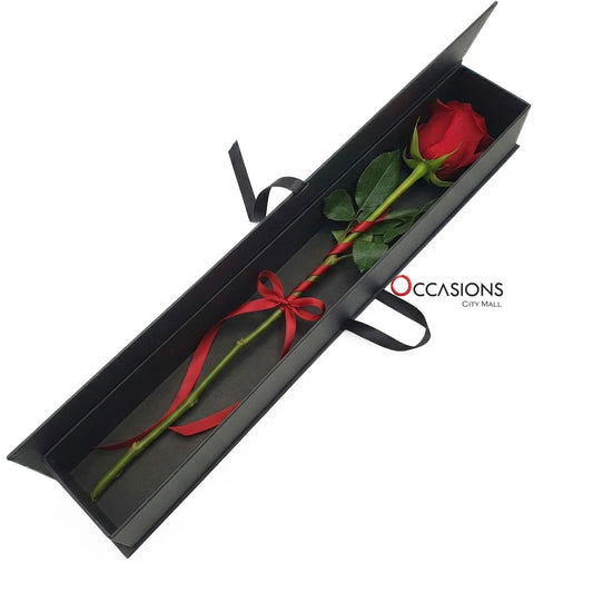 Classy Red Rose