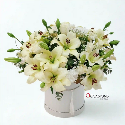 Elegant Lily Cylinder Arrangement