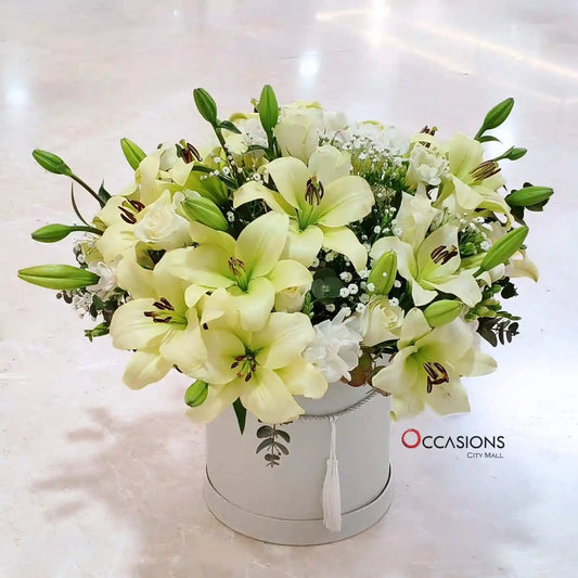 Elegant Lily Cylinder Arrangement