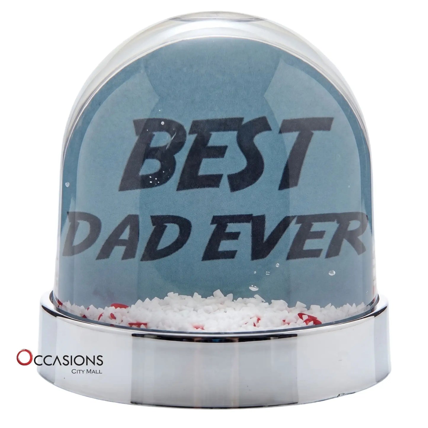 Best Daddy Ever Snow Globe