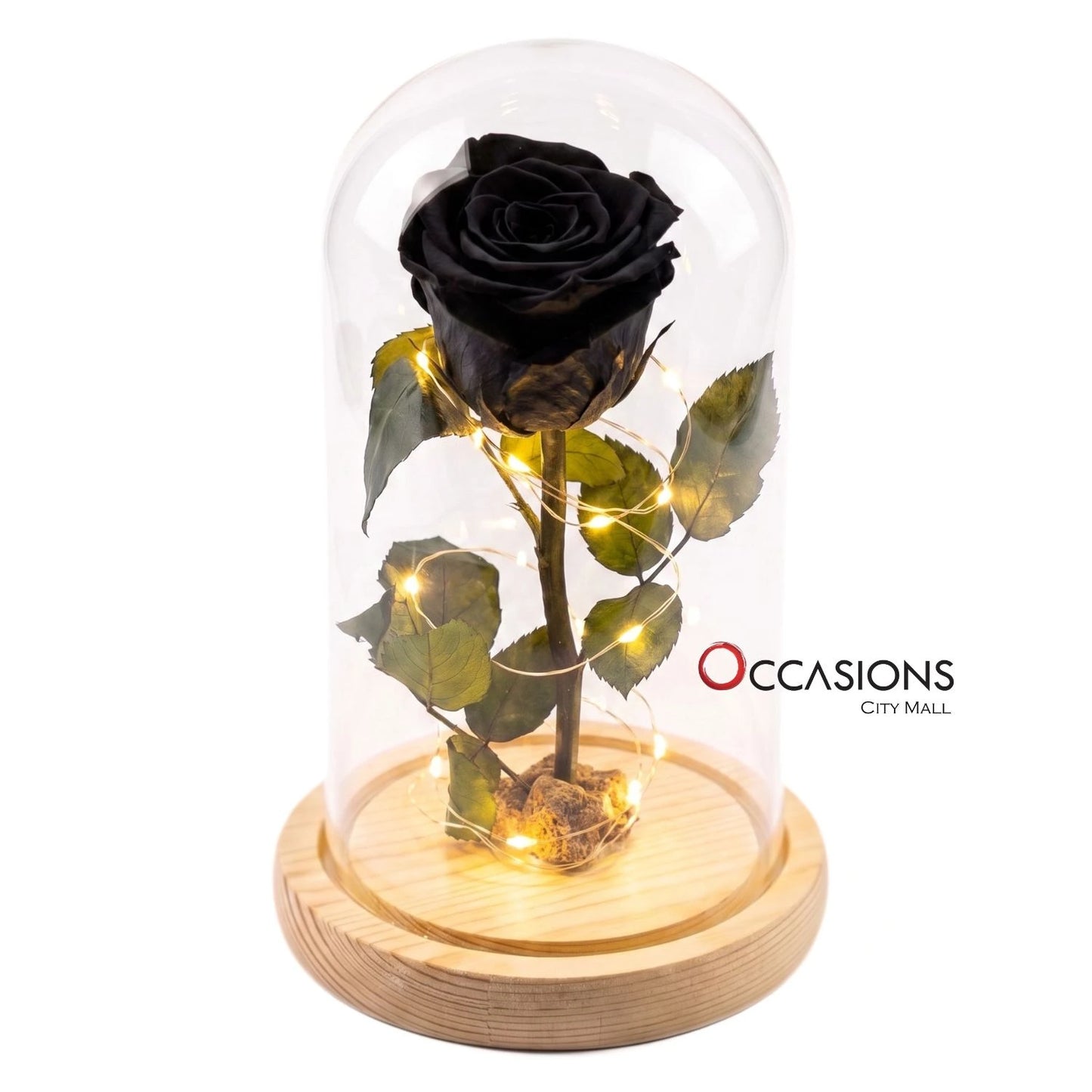 Black Forever Rose with Light - M
