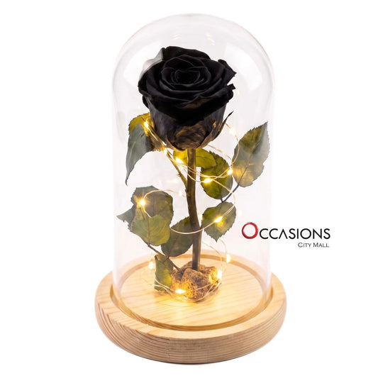 Black Forever Rose with Light - M