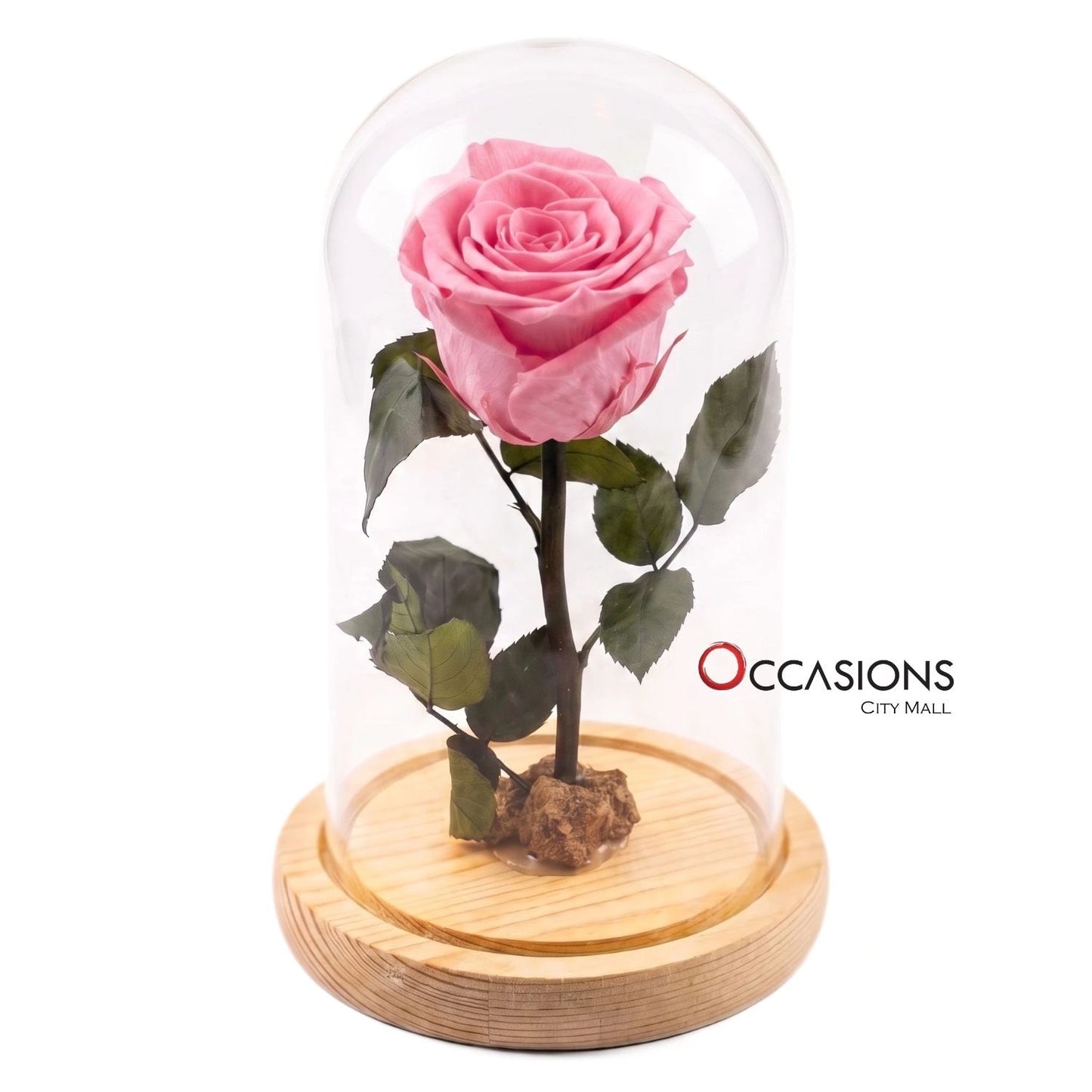 Pink Forever Rose - M