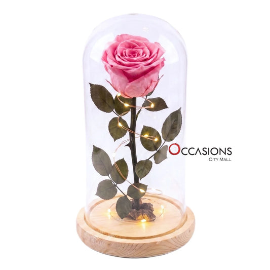 Pink Forever Rose with Light - L