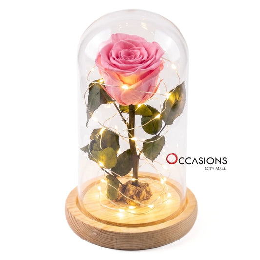 Pink Forever Rose with Light - M