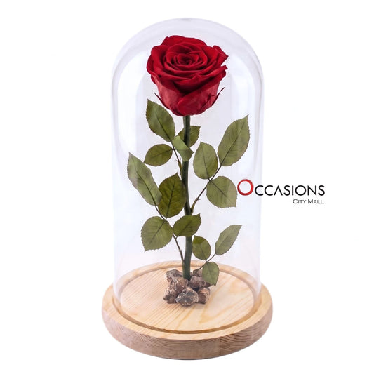 Red Forever Rose - L