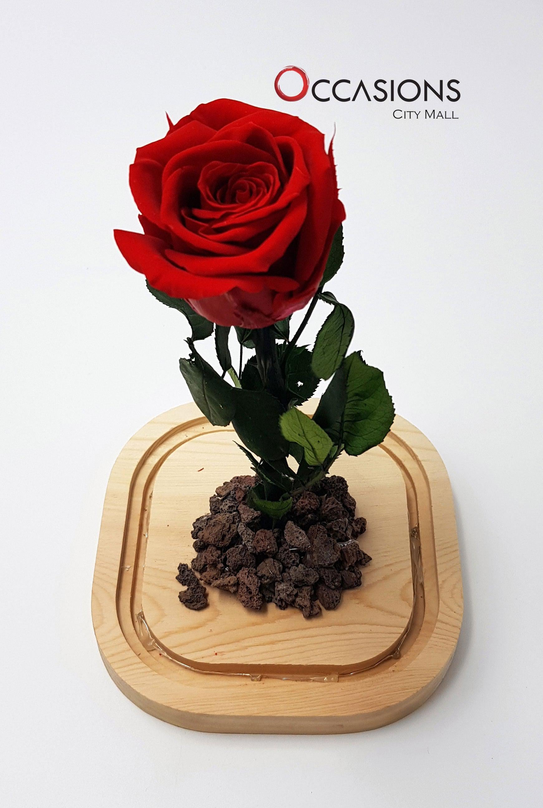 Forever Rose Flowerssend_delivery_Amman_Jordan
