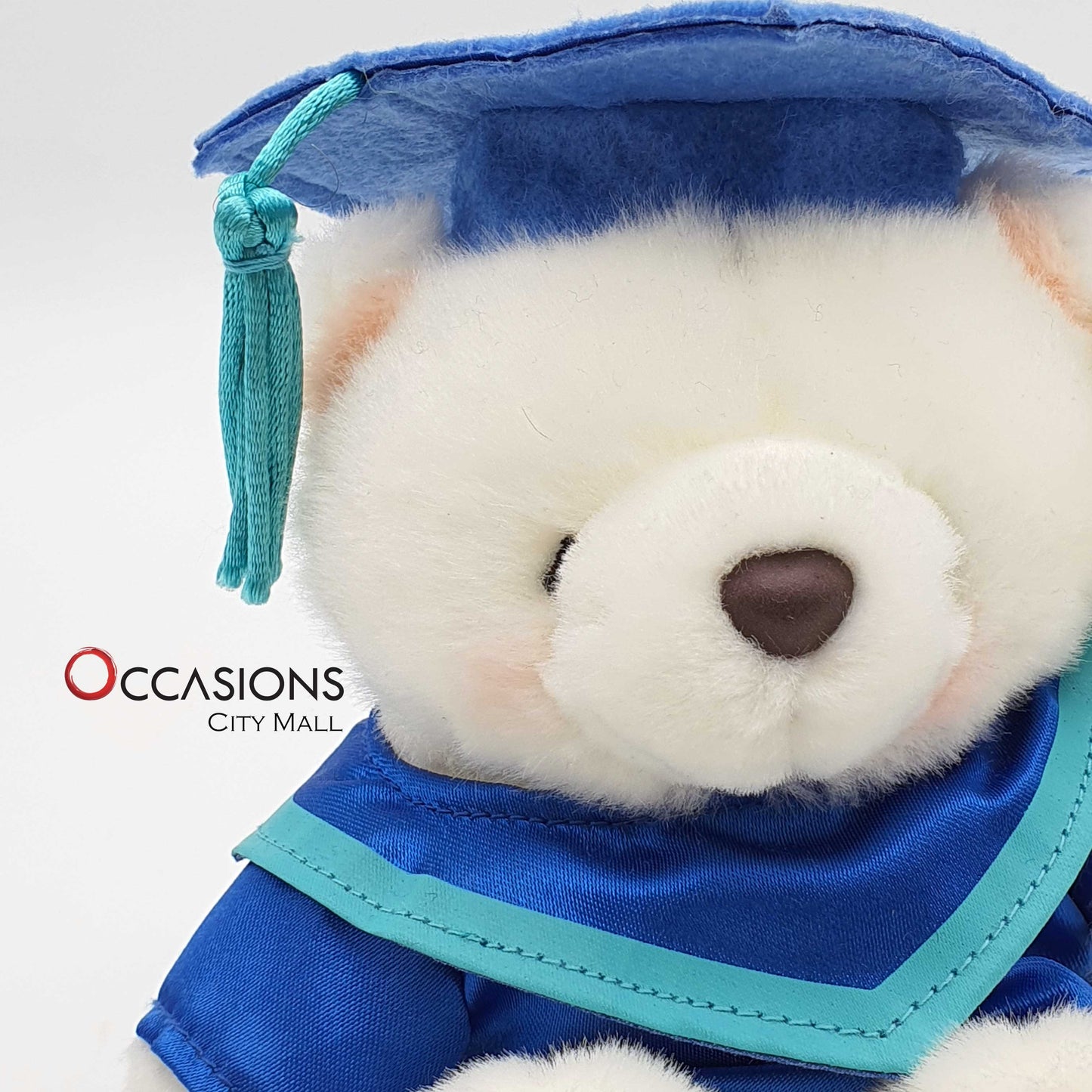 Graduation Teddy - Blue Teddy Bearsend_delivery_Amman_Jordan