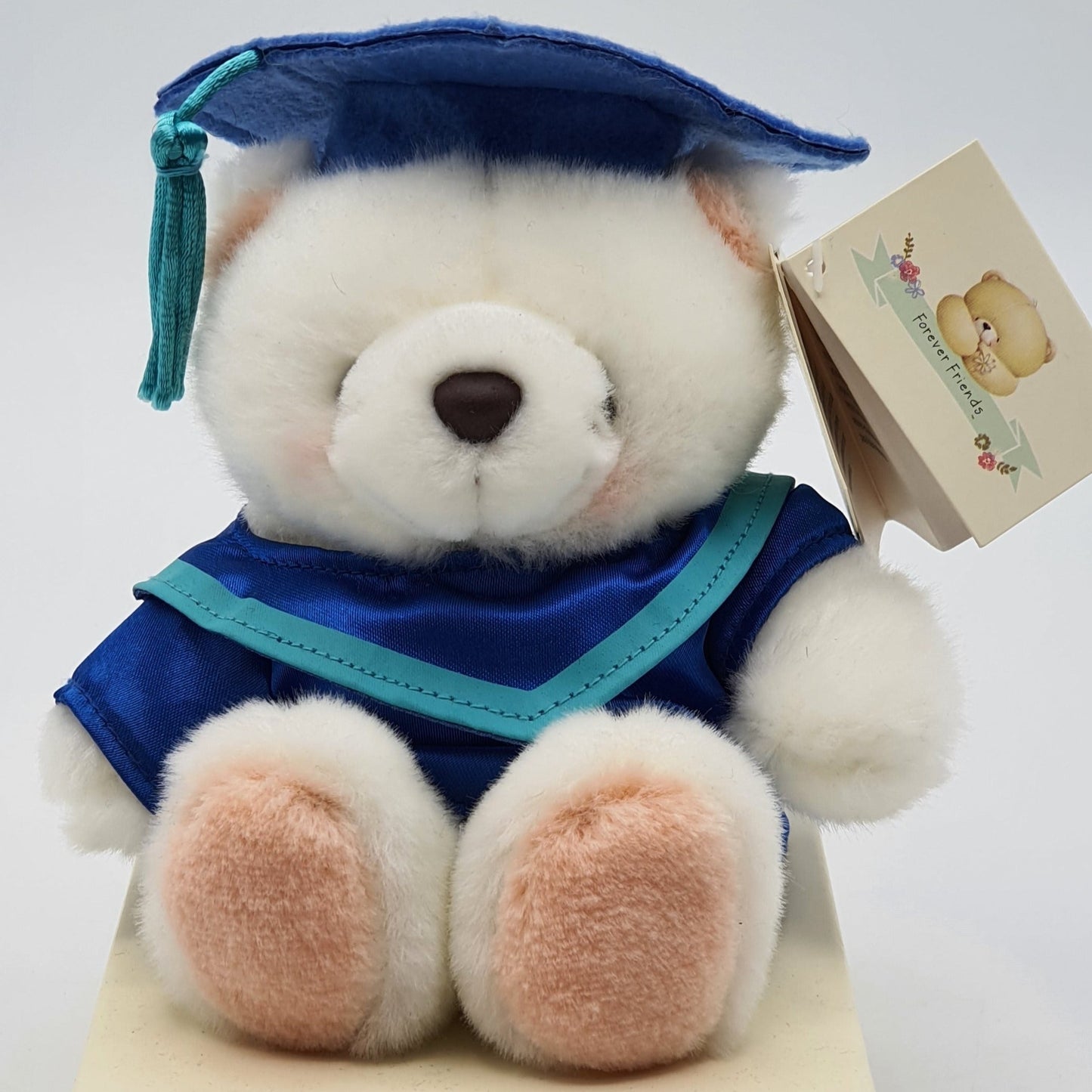 Graduation Teddy - Blue Teddy Bearsend_delivery_Amman_Jordan