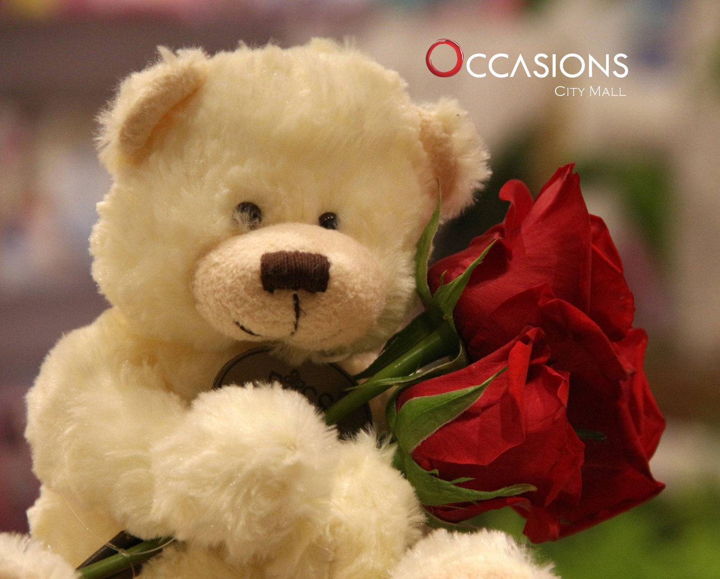 Teddy Roses Flowerssend_delivery_Amman_Jordan